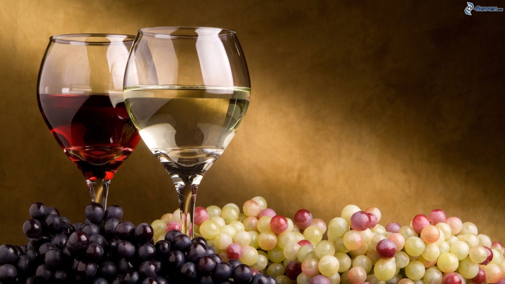 Vin de Madiran : se trouver une passion pour le vin